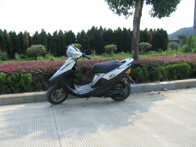 浙江一口价2600转让ZR50