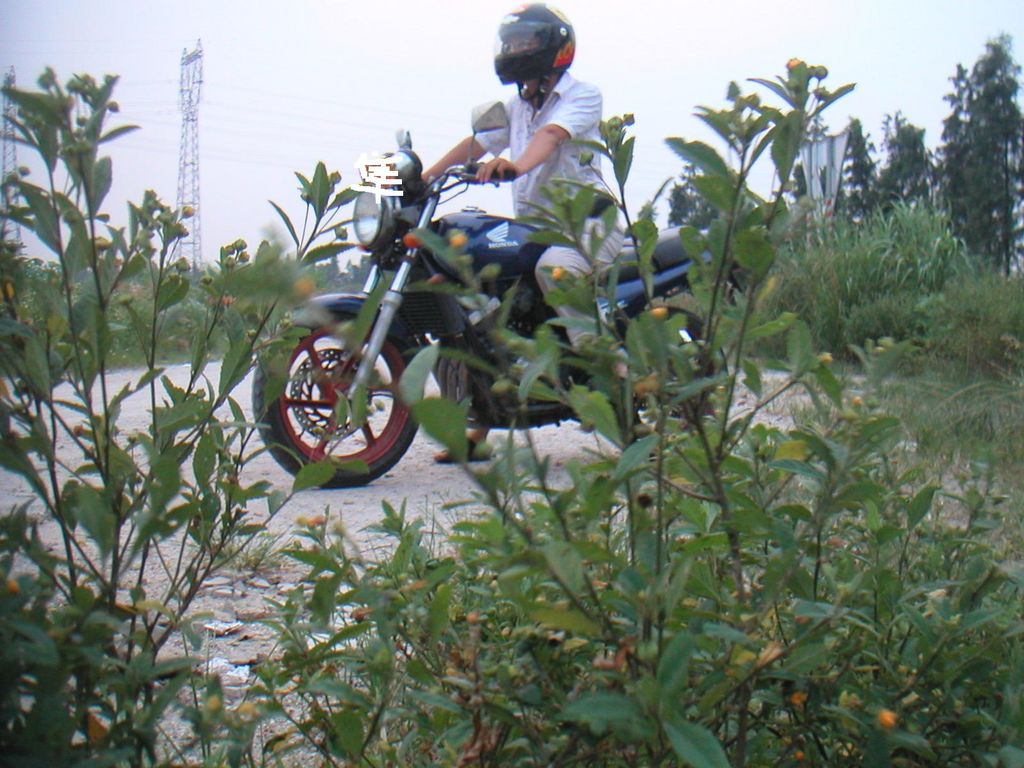 昨天:蓝宝石闷得发慌，出来放风了……