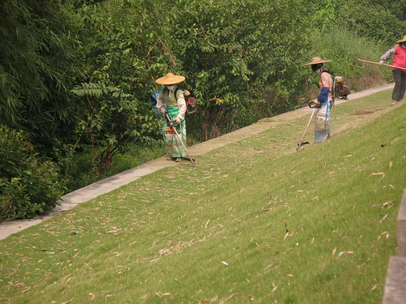 [原创]骑驴觅诗不如策马乘风