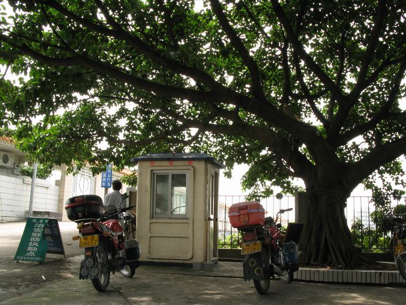 [原创]骑驴觅诗不如策马乘风