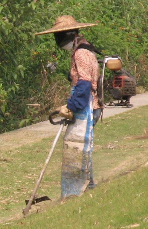 [原创]骑驴觅诗不如策马乘风