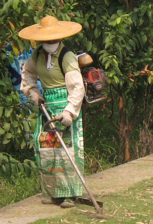 [原创]骑驴觅诗不如策马乘风