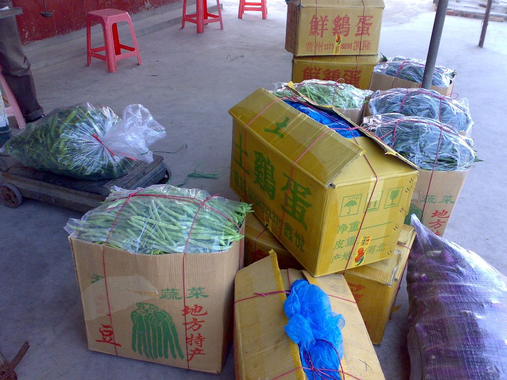 贺新年第一贴!