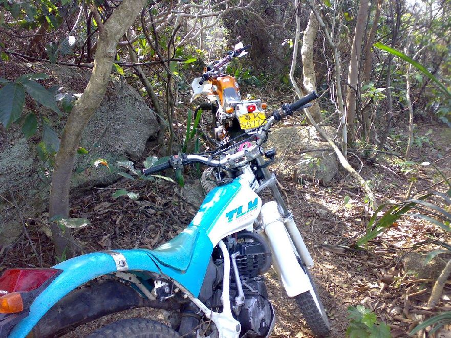 两个大男人到山上搞野！