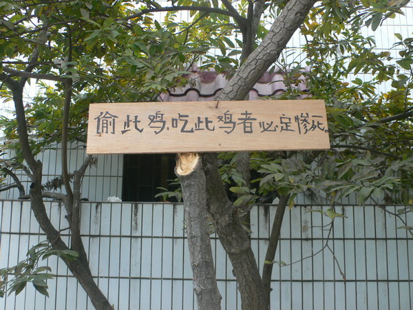 偷此鸡,吃此鸡者必定惨死(珠海落场前奏)