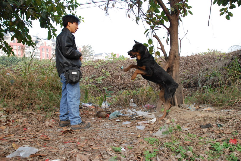 江门M2车迷会共聚年餐