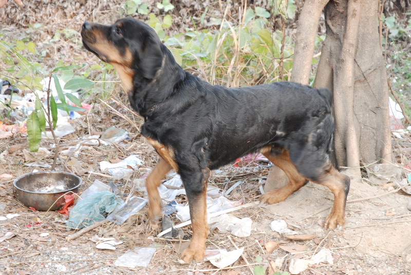 江门M2车迷会共聚年餐