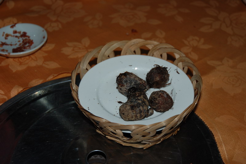 江门M2车迷会共聚年餐