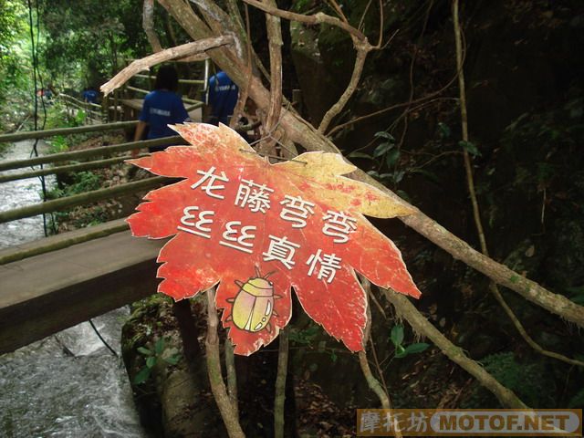 德庆年会PP