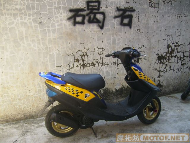 广东阳江出售靓仔JOG~ZR