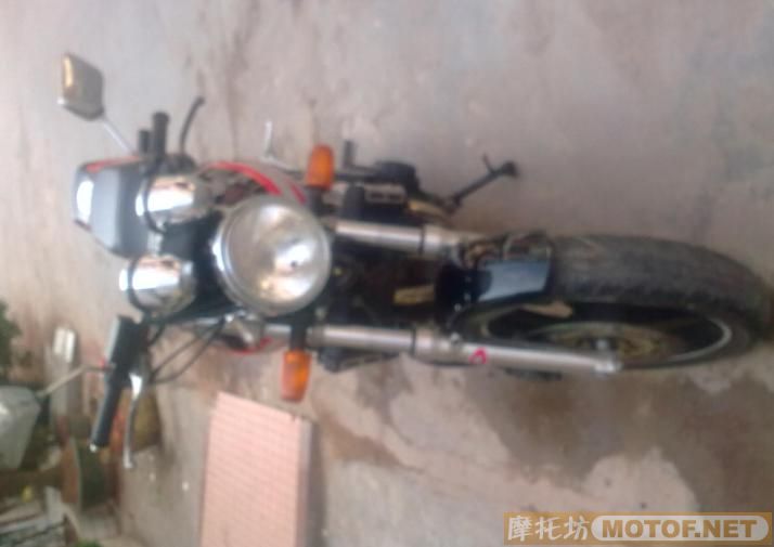深圳宝安13000元售小魔鬼