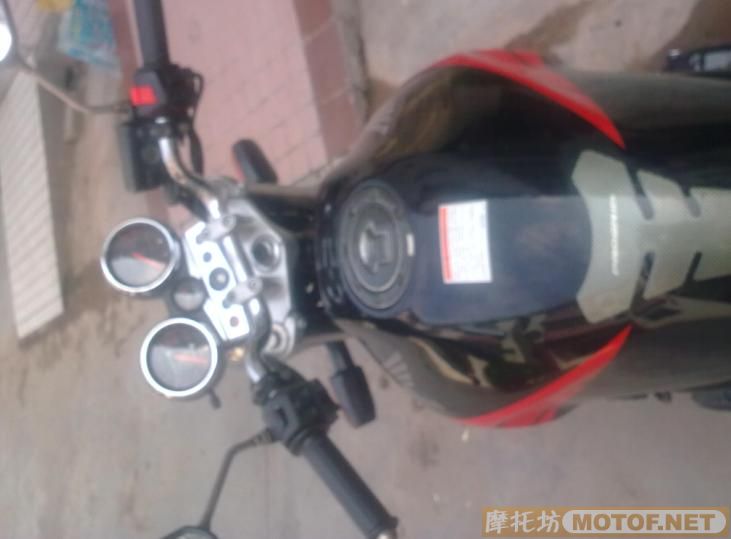 深圳宝安13000元售小魔鬼