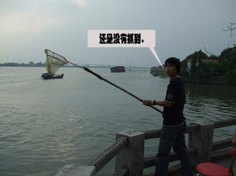 难忘的一次聚会,番禺车友会(天天更新)有大量图片