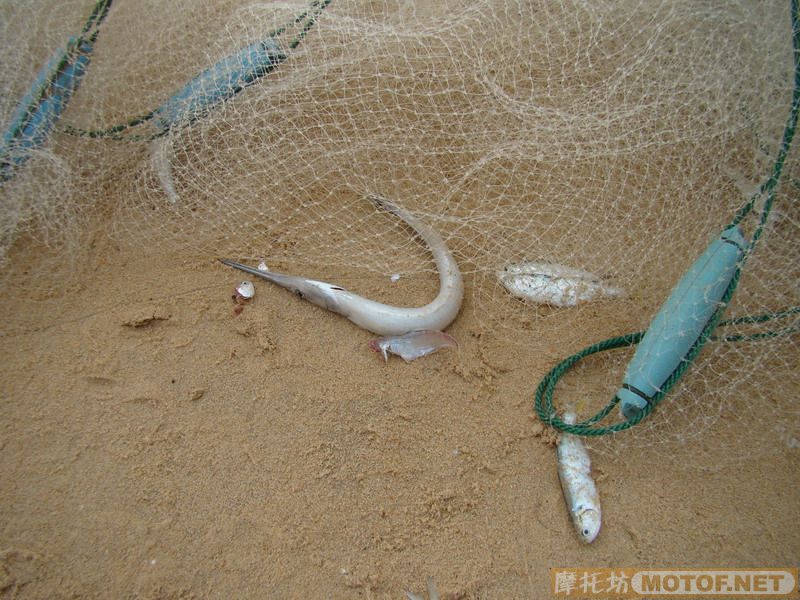 国庆节湛江乌石渡假村采风之行