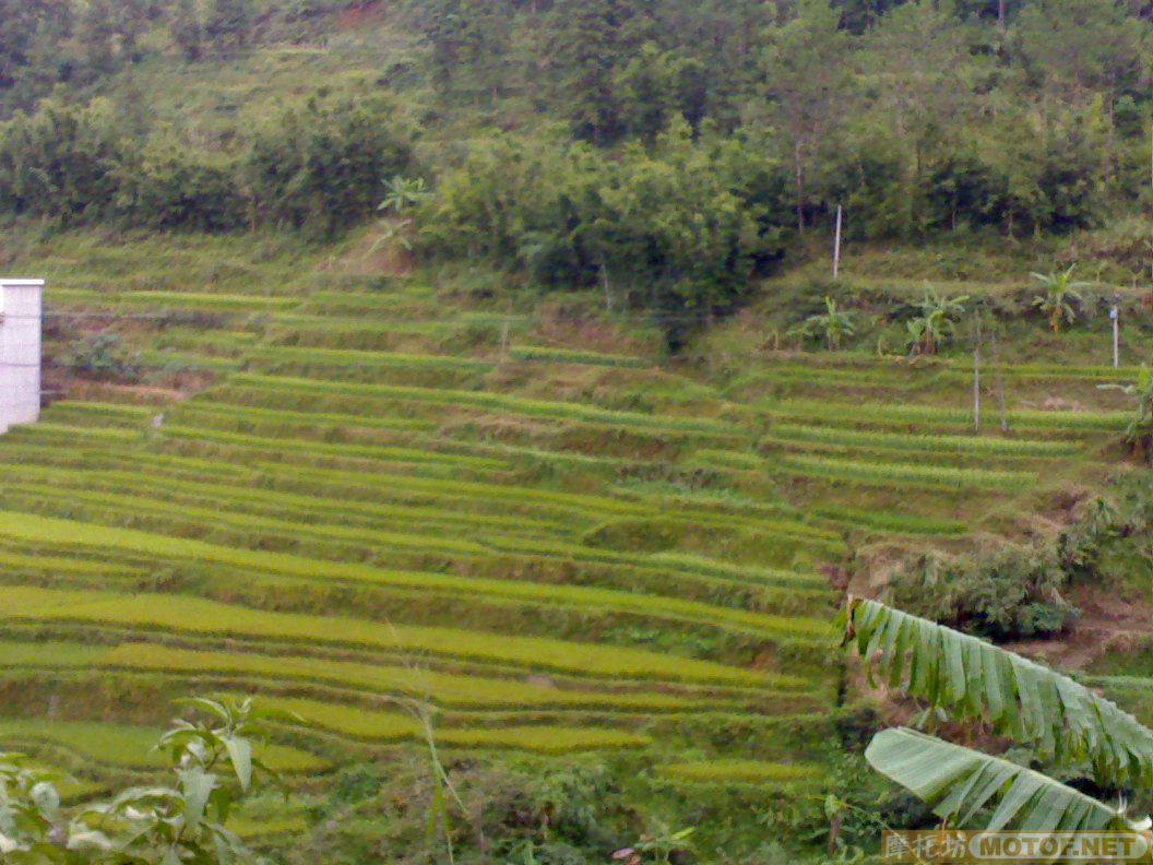 重阳节,信宜大雾山一天游,