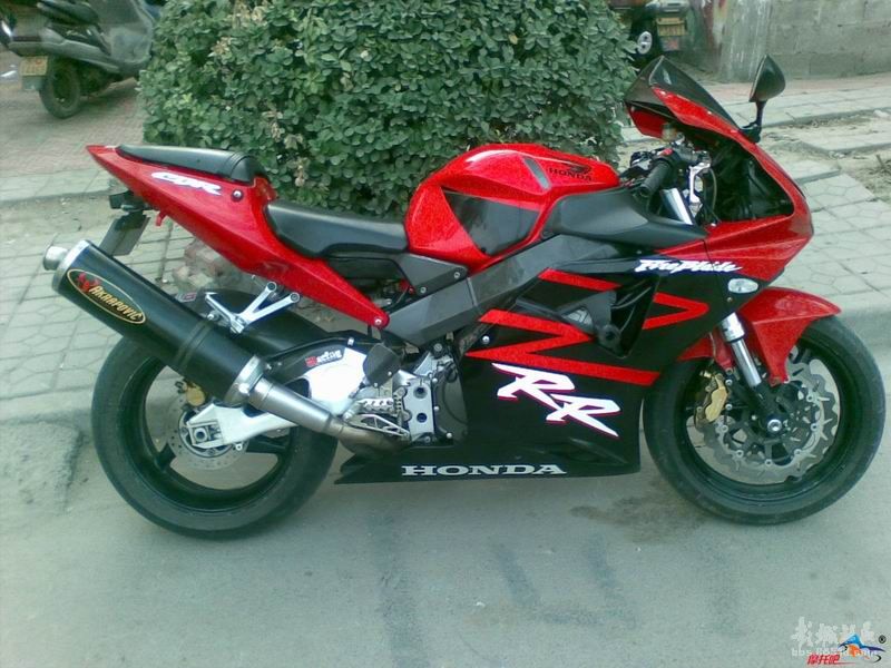 转让---CBR954  老鼠货色