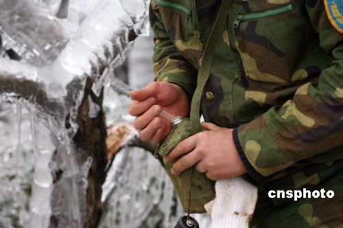 雪災中的橄榄绿~！！