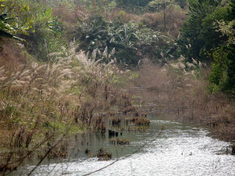 [原创](新生活)  入山的意趣
