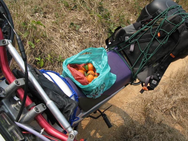 [原创](新生活)  入山的意趣