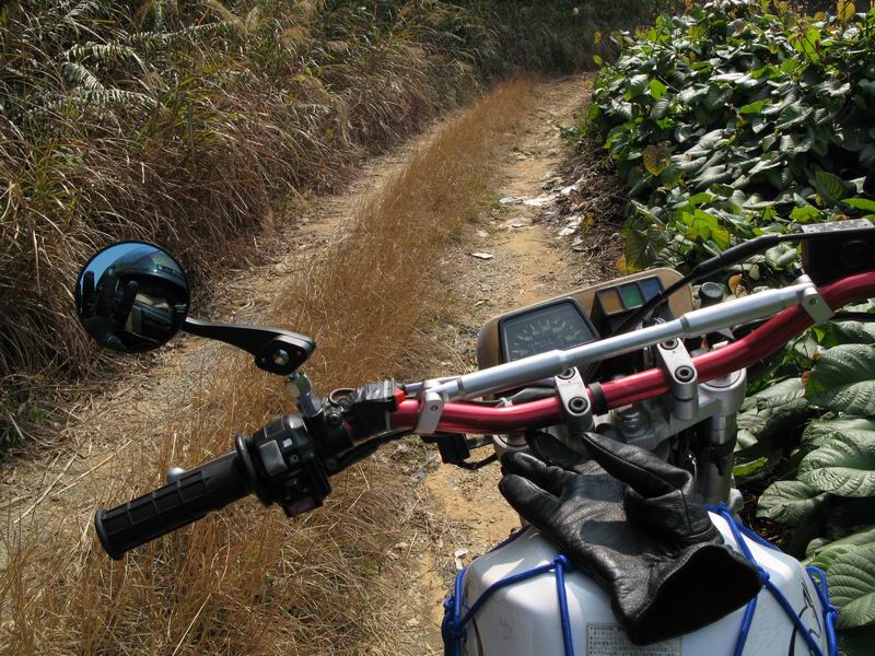 [原创](新生活)  入山的意趣