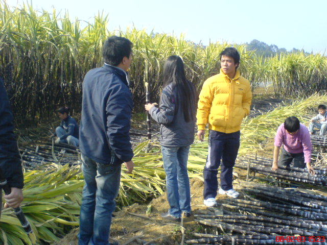 2008年2月2日爆SSSS弯。。爆出情感。