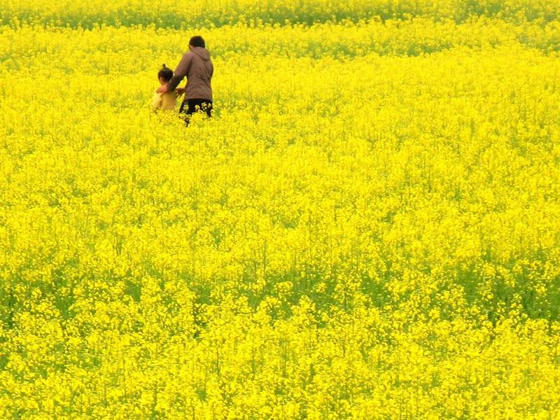 [贴图]花都王子山走马观花