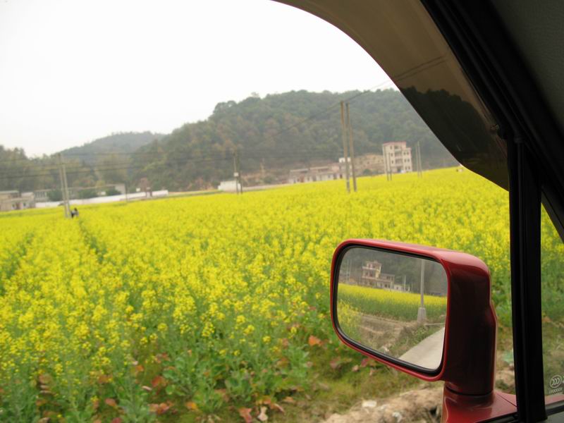 [贴图]花都王子山走马观花