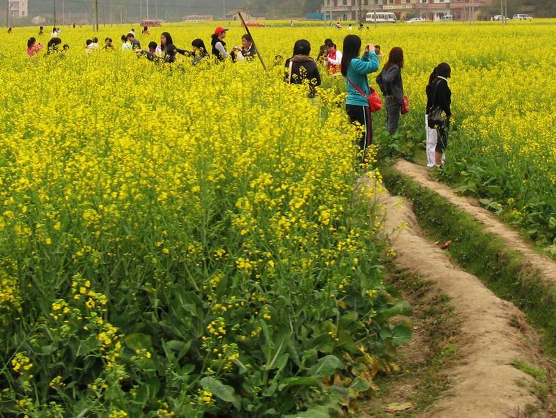 [贴图]花都王子山走马观花