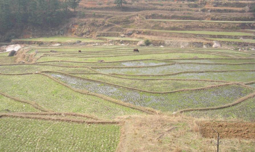 [原创]一个人.....随拍
