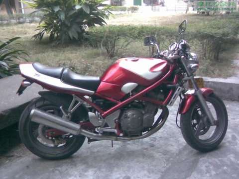 暴徒250