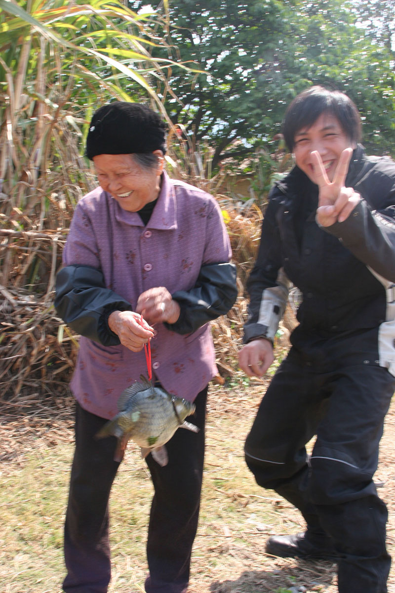 [公告]英德赏油菜花