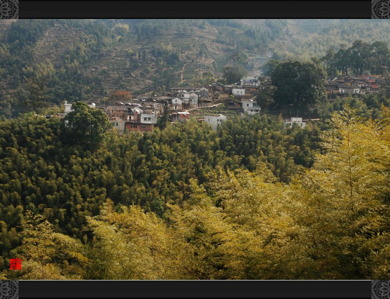 春临饶平