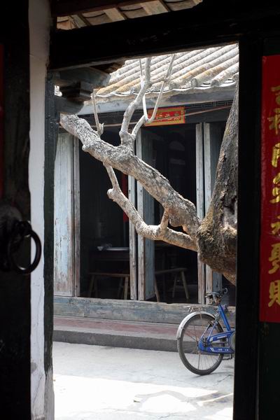 春临饶平