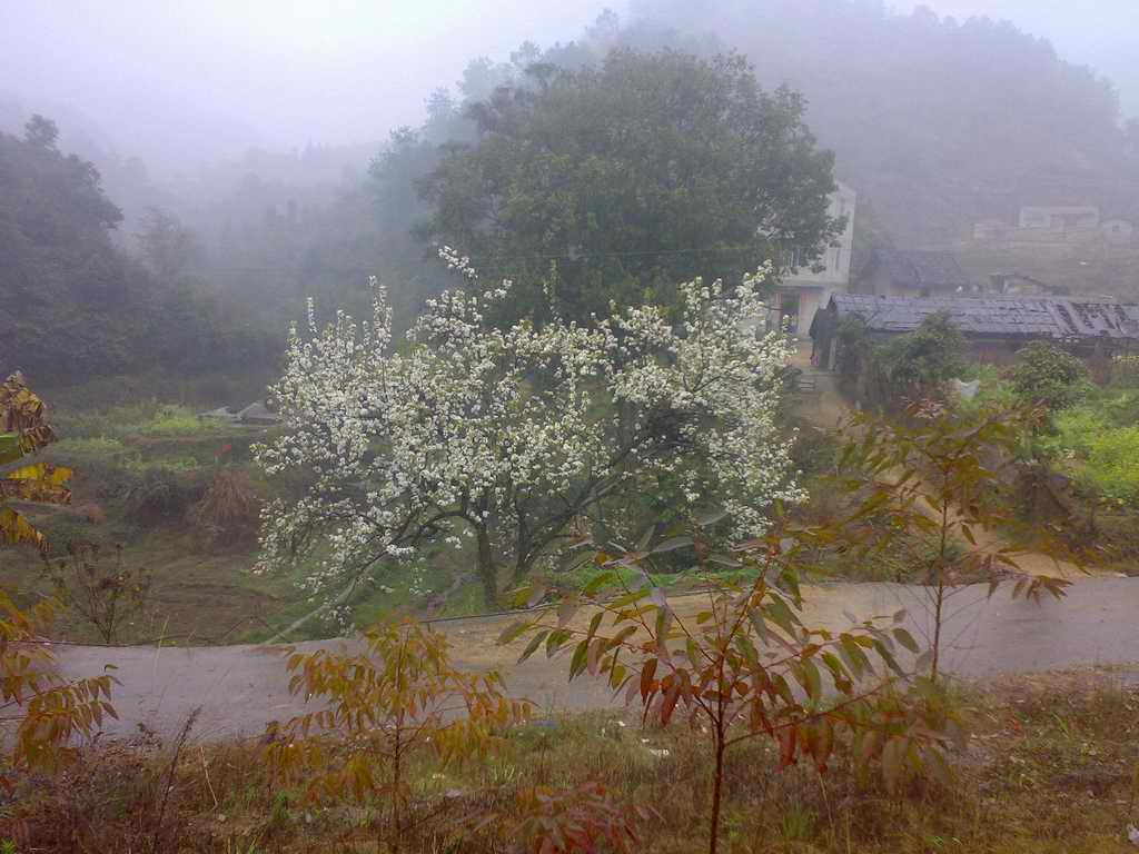 3月11-15小跑桂北~~