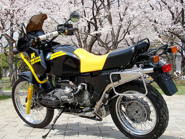 R100GS