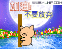 爱车鉴赏