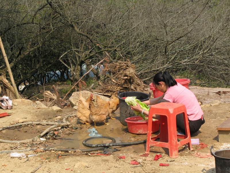 [原创]没有预谋的美丽---南昆山至石门穿越之旅