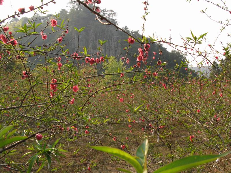 [原创]没有预谋的美丽---南昆山至石门穿越之旅