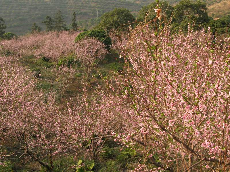 [原创]没有预谋的美丽---南昆山至石门穿越之旅