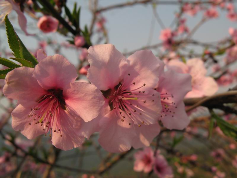 [原创]没有预谋的美丽---南昆山至石门穿越之旅