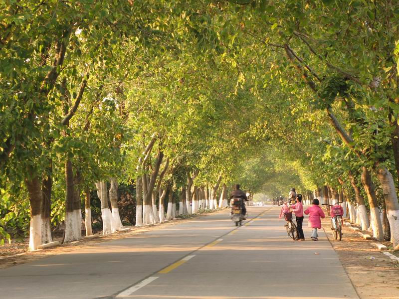 [原创]没有预谋的美丽---南昆山至石门穿越之旅