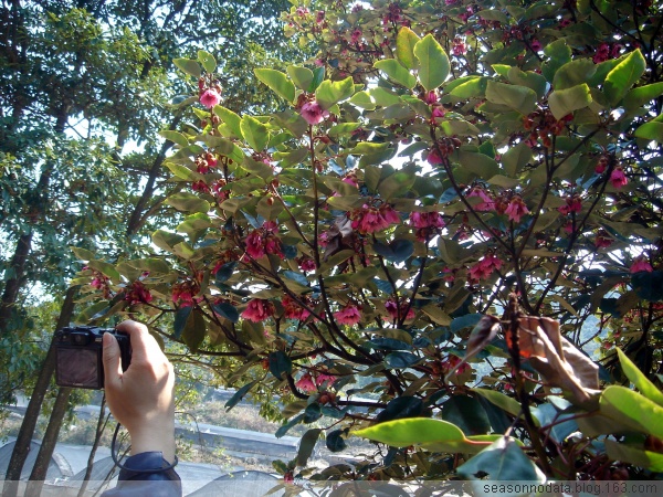 [原创]没有预谋的美丽---南昆山至石门穿越之旅