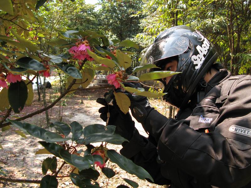 [原创]没有预谋的美丽---南昆山至石门穿越之旅