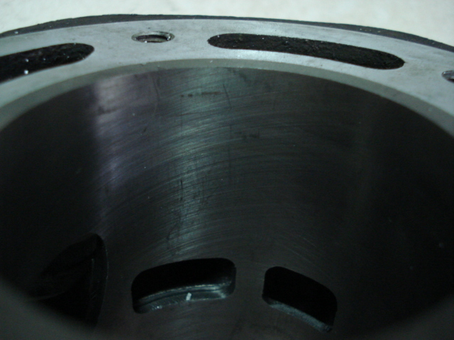 [推荐]广州黄埔出售T仔套缸，绵羊胎两条200-500元