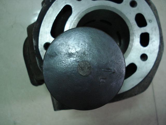 [推荐]广州黄埔出售T仔套缸，绵羊胎两条200-500元