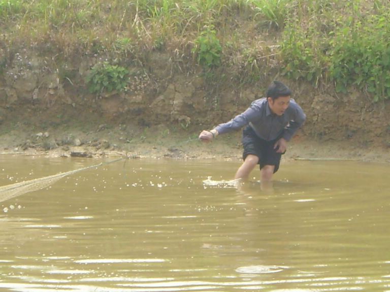 [贴图]小跑开平
