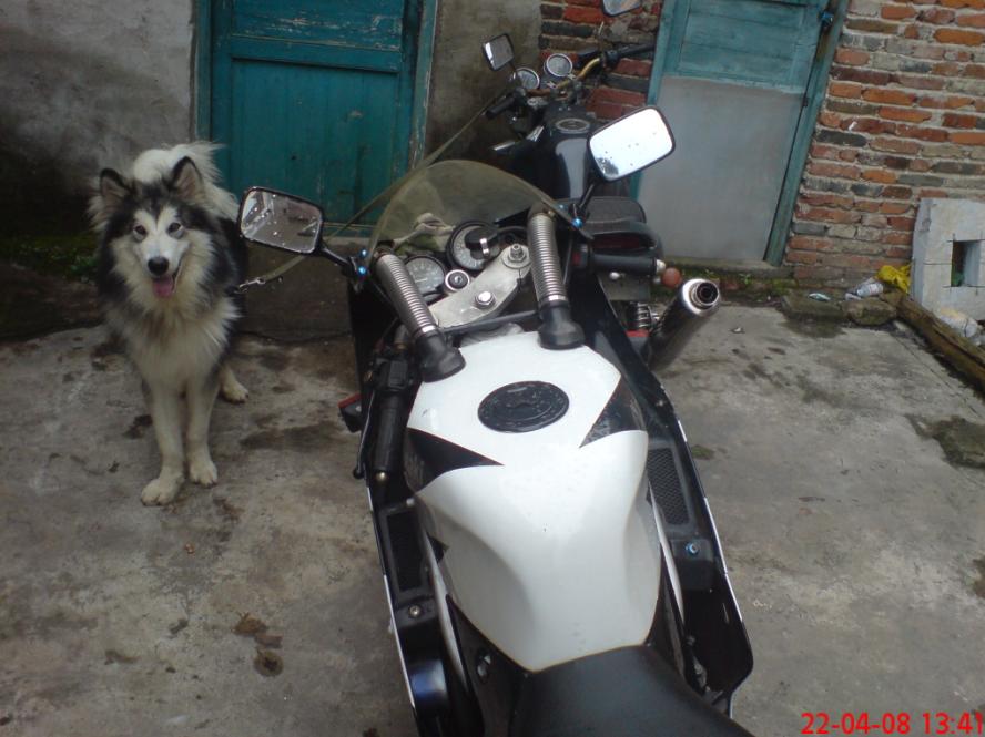 贺州试卖ＺＸＲ－２５０Ｒ（４８００）