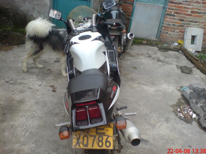 贺州试卖ＺＸＲ－２５０Ｒ（４８００）