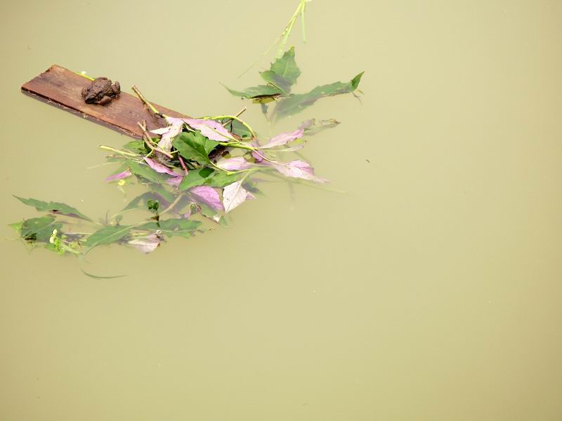 [原创]南昆山天堂顶探秘