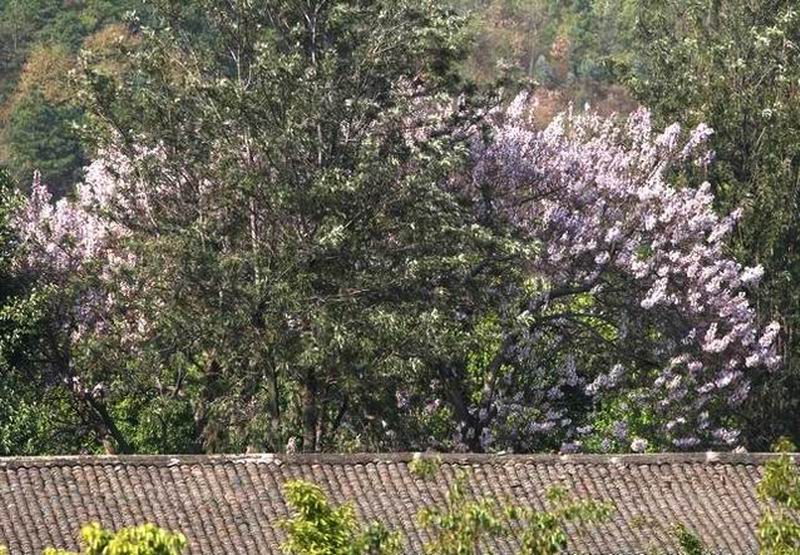 [原创]神州西南的相册